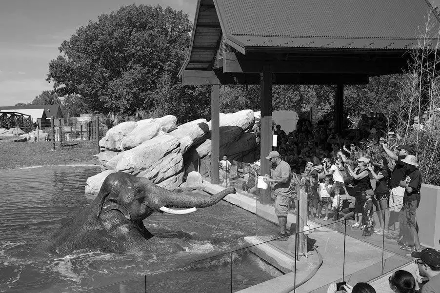 Denver Zoo image 0