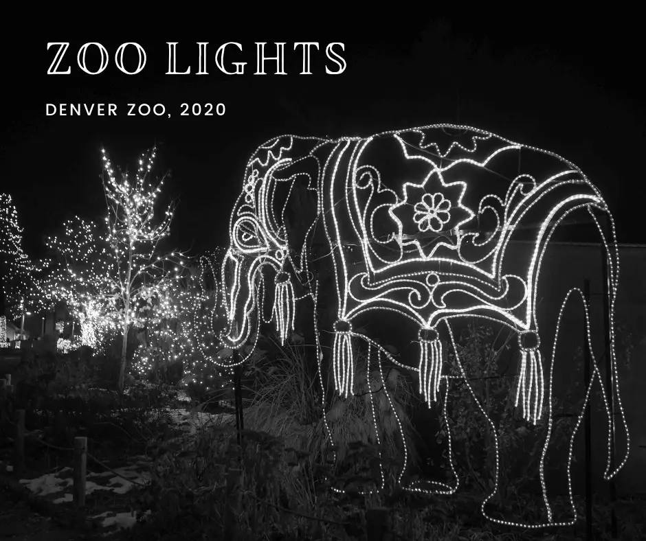 Denver Zoo image 1