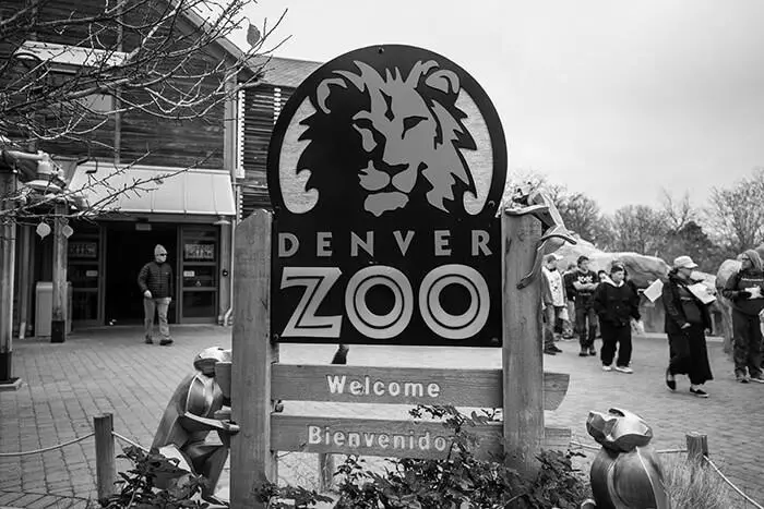 Things to Do in Denver on the Weekends photo 6