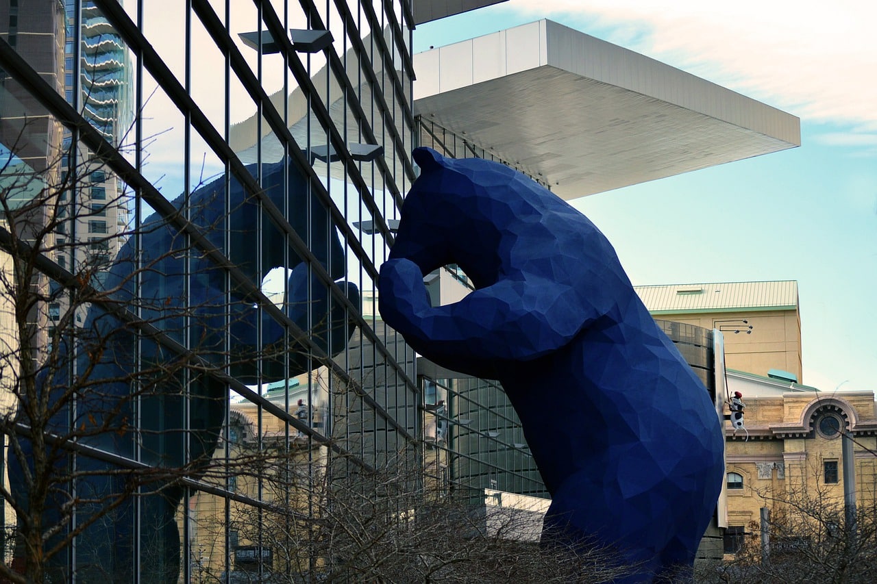 blue, bear, denver-2617553.jpg